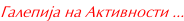 Галерија на Активноsти ...